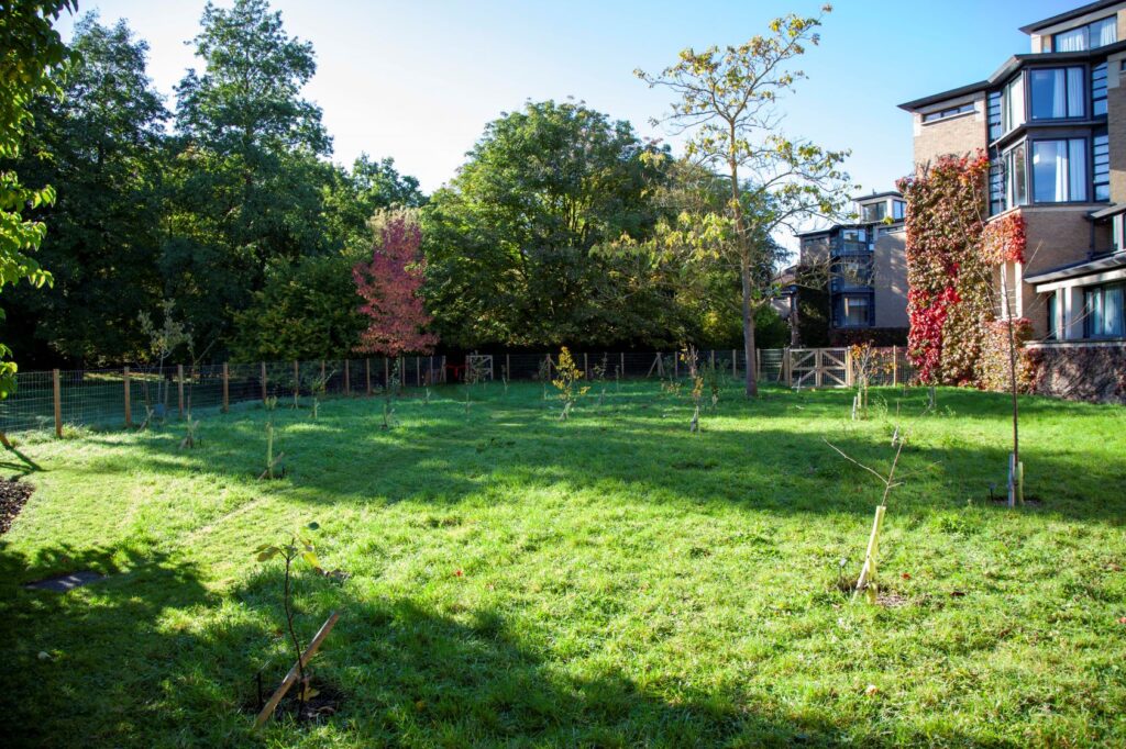 Celebrating Trinity's new Orchard